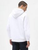 Dickies ® Icon Logo Hoodie  WHITE