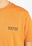 Dickies ® Pacific Tee - GOLDEN OCHRE