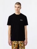 Dickies ® Artondale Box Tee - BLACK