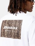 Dickies Camden Box Tee WHITE