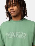 Dickies ® Union Springs Tee DARK IVY