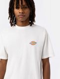 Dickies ® Icon Washed Tee ECRU