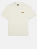 Dickies ® Icon Washed Tee ECRU