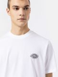 Dickies Holtville Tee SS WHITE