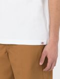 Dickies ® Leesburg Tee WHITE