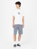 Dickies ® Beavertown Tee CLOUD