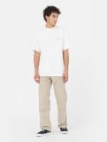 Dickies ® Oatfield Tee CLOUD