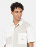 Dickies ® Eddyville Assorted Colour Shirt - MULTY