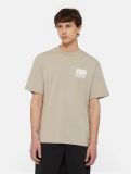 Dickies ® New Fill T-Shirt - SANDSTONE