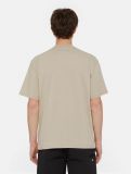 Dickies ® New Fill T-Shirt - SANDSTONE