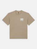 Dickies ® New Fill T-Shirt - SANDSTONE