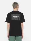 Dickies ® Meadows T-Shirt - BLACK