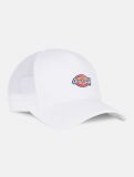 Dickies ® Trucker Hanston - WHITE