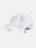 Dickies ® Trucker Hanston - WHITE