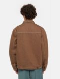 Chaqueta DICKIES Painter Stevensvillme - MARRON