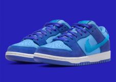 Nike SB Dunk Low Pro BLUE RASPBERRY