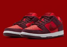 Nike SB Dunk Low Pro Cherry