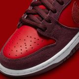 Nike SB Dunk Low Pro Cherry