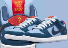 Nike SB Dunk Low PRM WSS 