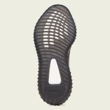Adidas Yeezy Boost 350 V2 “ Carbon Beluga ”