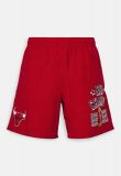 M&N Team Heritage Woven Shorts Chicago Bulls