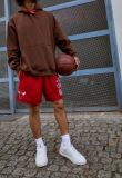 M&N Team Heritage Woven Shorts Chicago Bulls