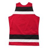 Mitchell & Ness ® NBA Striped Jersey Hawks RED